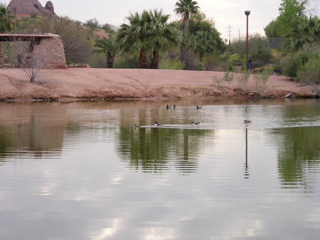 P3030188.JPG