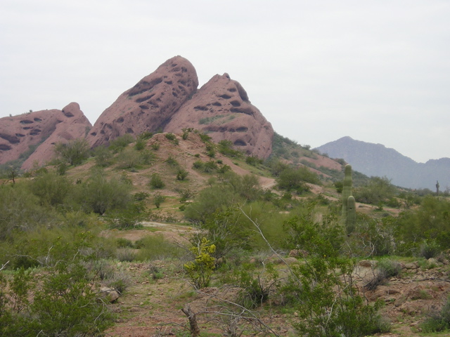 P3030192.JPG