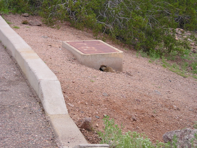 P3030201.JPG