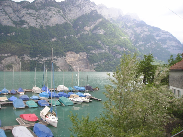 P6190011